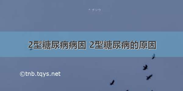 2型糖尿病病因 2型糖尿病的原因