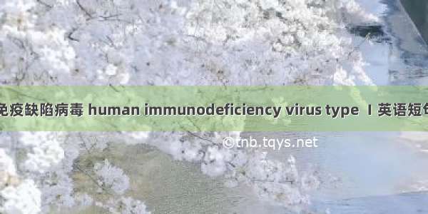 Ⅰ型人类免疫缺陷病毒 human immunodeficiency virus type Ⅰ英语短句 例句大全