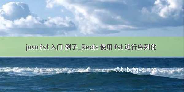 java fst 入门 例子_Redis 使用 fst 进行序列化