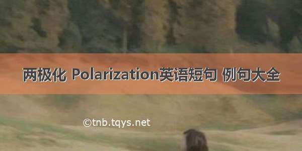 两极化 Polarization英语短句 例句大全