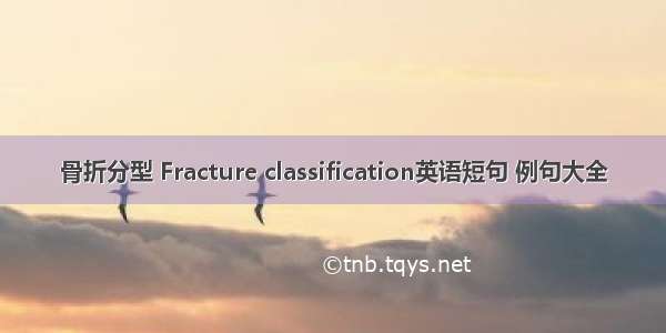 骨折分型 Fracture classification英语短句 例句大全