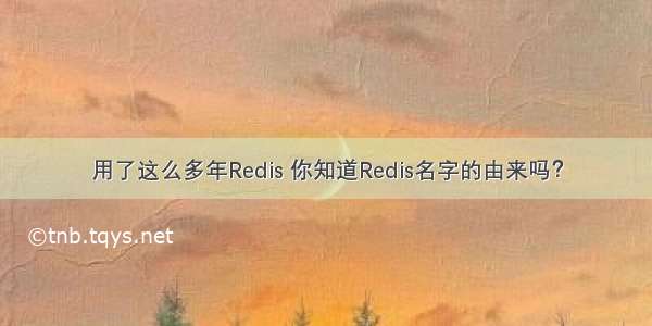 用了这么多年Redis 你知道Redis名字的由来吗？