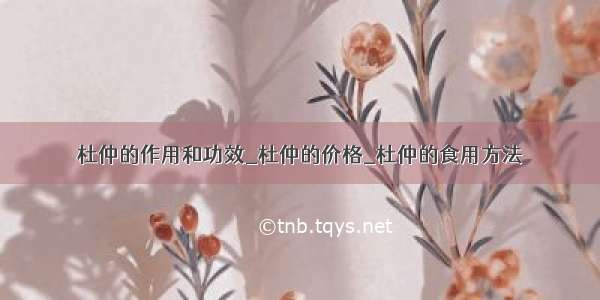 杜仲的作用和功效_杜仲的价格_杜仲的食用方法