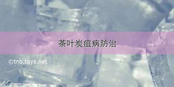 茶叶炭疽病防治