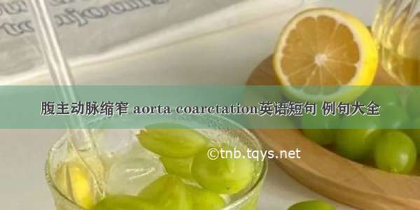 腹主动脉缩窄 aorta coarctation英语短句 例句大全