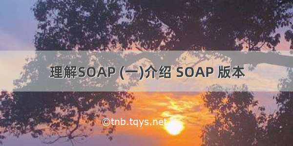 理解SOAP (一)介绍 SOAP 版本