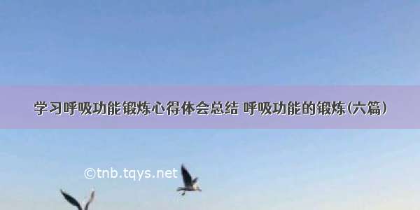 学习呼吸功能锻炼心得体会总结 呼吸功能的锻炼(六篇)