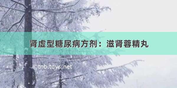 肾虚型糖尿病方剂：滋肾蓉精丸