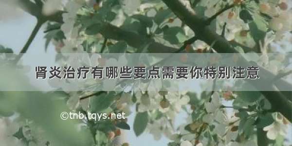 肾炎治疗有哪些要点需要你特别注意