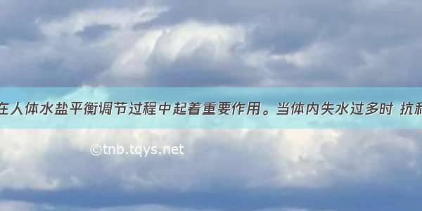 抗利尿激素在人体水盐平衡调节过程中起着重要作用。当体内失水过多时 抗利尿激素分泌