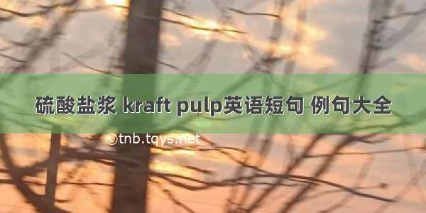 硫酸盐浆 kraft pulp英语短句 例句大全