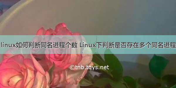 linux如何判断同名进程个数 Linux下判断是否存在多个同名进程