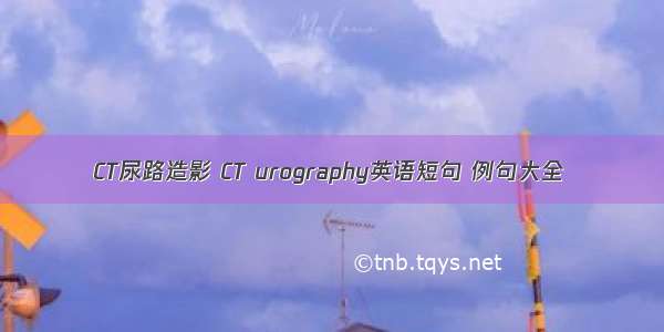 CT尿路造影 CT urography英语短句 例句大全