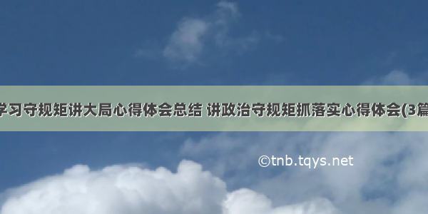 学习守规矩讲大局心得体会总结 讲政治守规矩抓落实心得体会(3篇)