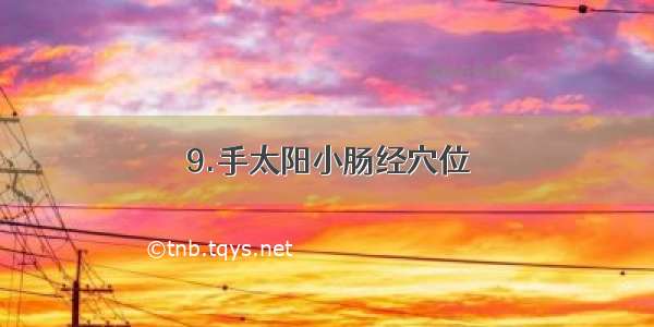 9.手太阳小肠经穴位