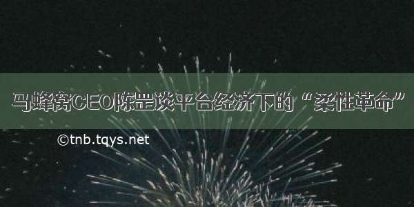 马蜂窝CEO陈罡谈平台经济下的“柔性革命”