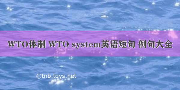 WTO体制 WTO system英语短句 例句大全