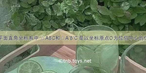 如图 在平面直角坐标系中 △ABC和△A&#039;B&#039;C&#039;是以坐标原点O为位似中心的位似图形 