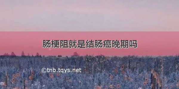 肠梗阻就是结肠癌晚期吗