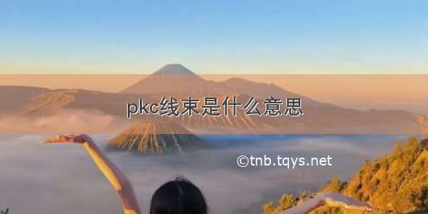 pkc线束是什么意思