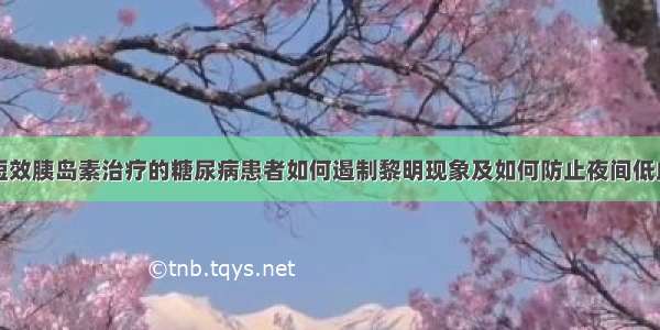 用短效胰岛素治疗的糖尿病患者如何遏制黎明现象及如何防止夜间低血糖