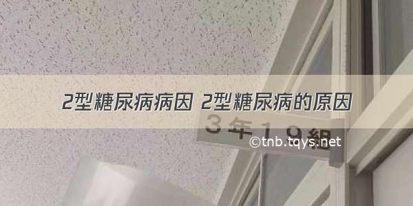 2型糖尿病病因 2型糖尿病的原因