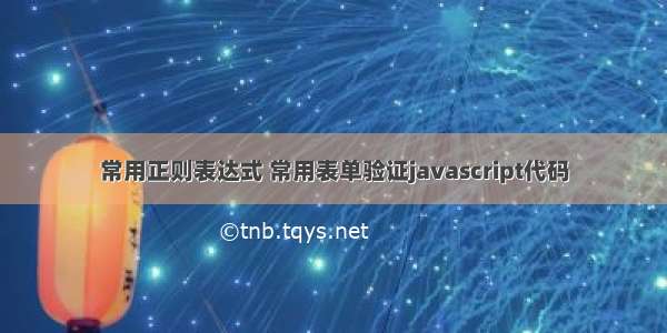 常用正则表达式 常用表单验证javascript代码