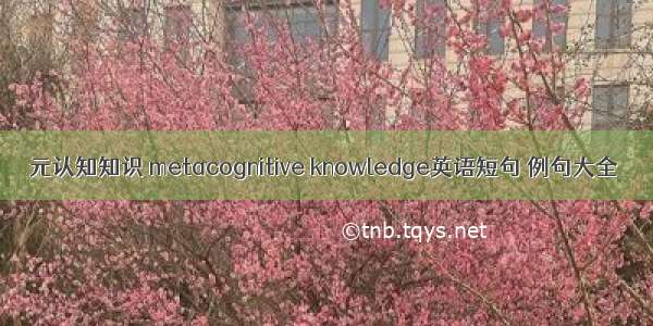 元认知知识 metacognitive knowledge英语短句 例句大全