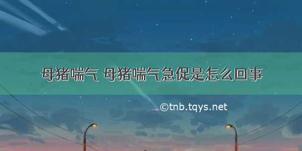 母猪喘气 母猪喘气急促是怎么回事