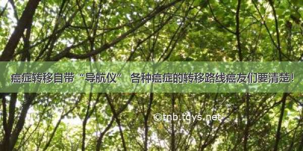 癌症转移自带“导航仪” 各种癌症的转移路线癌友们要清楚！