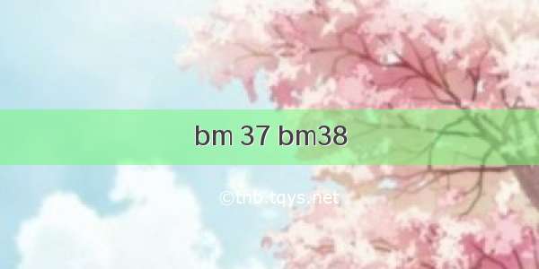 bm 37 bm38