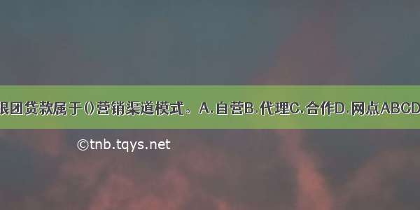 银团贷款属于()营销渠道模式。A.自营B.代理C.合作D.网点ABCD