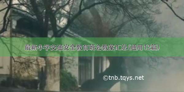 最新小学交通安全教育班会教案汇总(通用12篇)