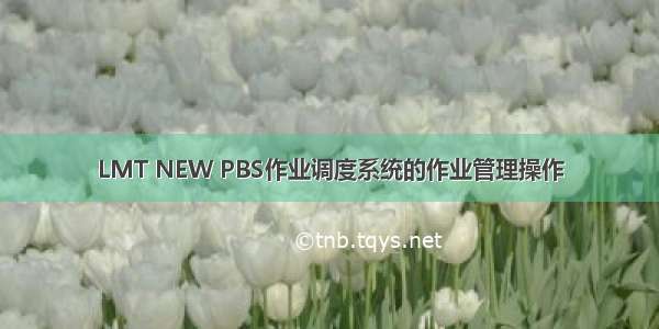 LMT NEW PBS作业调度系统的作业管理操作