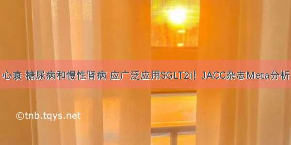 心衰 糖尿病和慢性肾病 应广泛应用SGLT2i！JACC杂志Meta分析