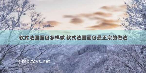 软式法国面包怎样做 软式法国面包最正宗的做法