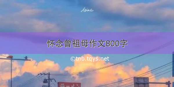 怀念曾祖母作文800字