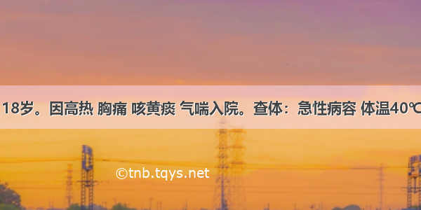 患者 男 18岁。因高热 胸痛 咳黄痰 气喘入院。查体：急性病容 体温40℃ 脉搏10