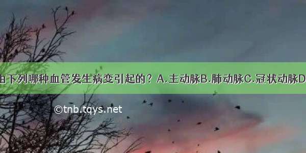 冠心病是由下列哪种血管发生病变引起的？A.主动脉B.肺动脉C.冠状动脉D.毛细血管