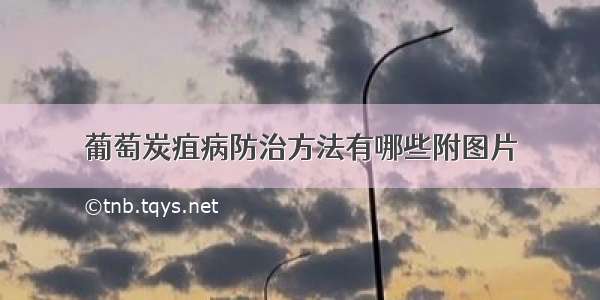 葡萄炭疽病防治方法有哪些附图片