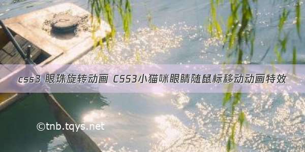 css3 眼珠旋转动画 CSS3小猫咪眼睛随鼠标移动动画特效