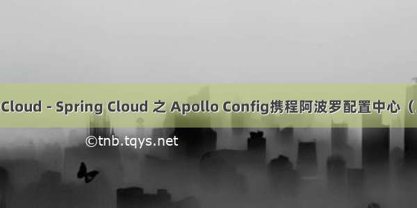 SpringCloud - Spring Cloud 之 Apollo Config携程阿波罗配置中心（二十一）