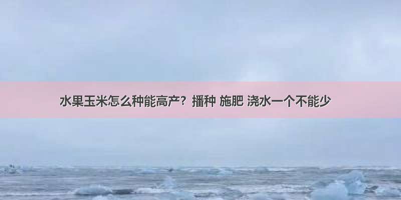 水果玉米怎么种能高产？播种 施肥 浇水一个不能少