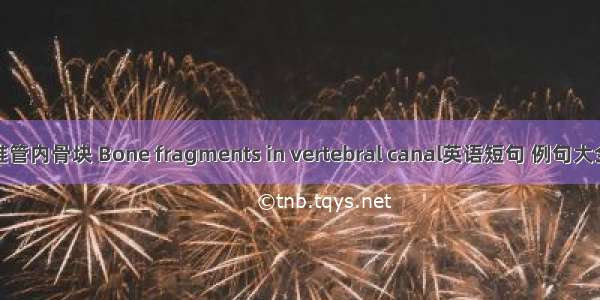 椎管内骨块 Bone fragments in vertebral canal英语短句 例句大全