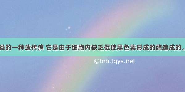 白化病是人类的一种遗传病 它是由于细胞内缺乏促使黑色素形成的酶造成的。针对白化病