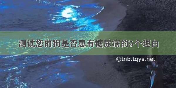 测试您的狗是否患有糖尿病的5个理由