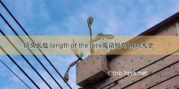 镜头长度 length of the lens英语短句 例句大全