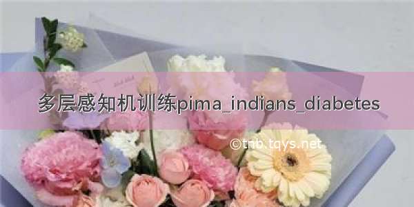 多层感知机训练pima_indians_diabetes