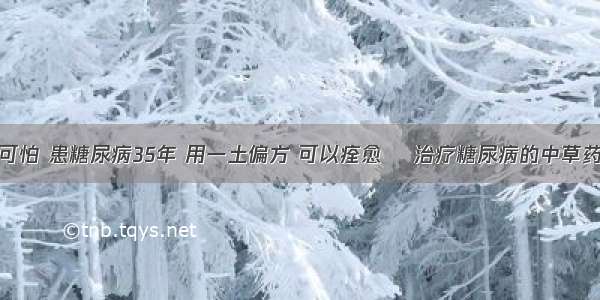 糖尿病不可怕 患糖尿病35年 用一土偏方 可以痊愈 ​治疗糖尿病的中草药：地锦草