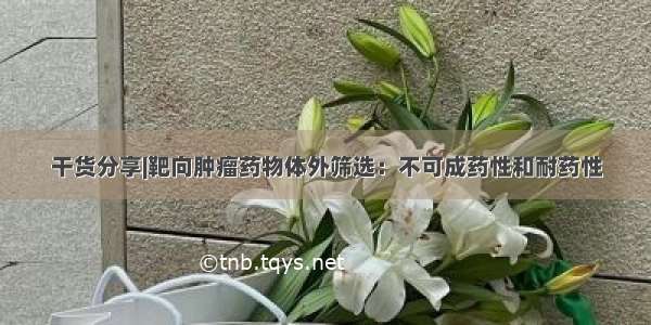 干货分享|靶向肿瘤药物体外筛选：不可成药性和耐药性